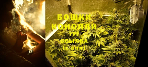 альфа пвп Горно-Алтайск