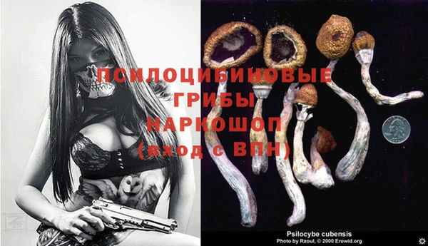 альфа пвп Горно-Алтайск