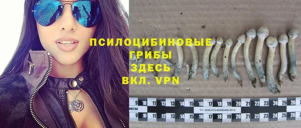 mdma Горняк