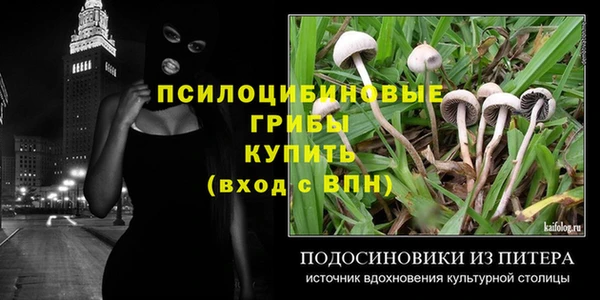 альфа пвп Горно-Алтайск