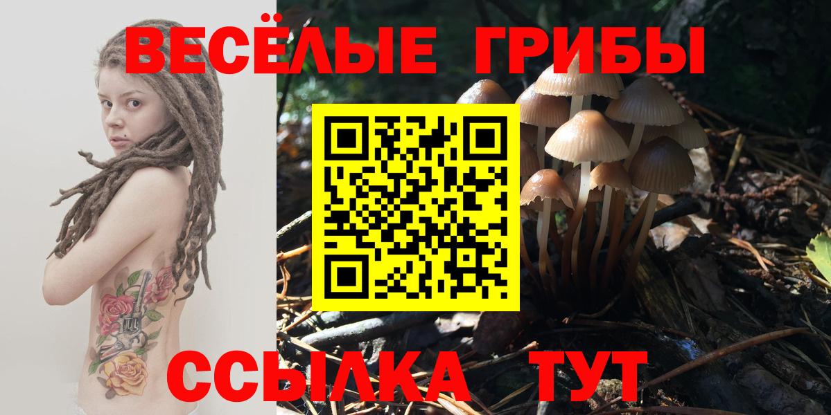 Псилоцибиновые грибы мицелий  Псилоцибиновые грибы GOLDEN TEACHER  Волжск  Вход с VPN 