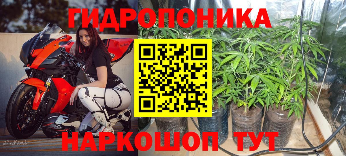 Канабис план Волжск